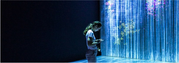 Machine Learning (ML)