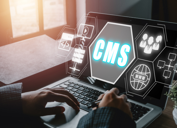 What Makes CMS Websites Better