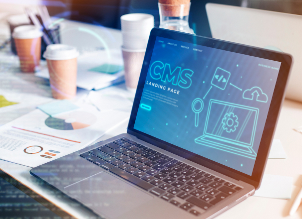 Your Go To CMS Development Partner